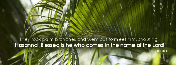 Palms
