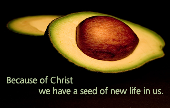 the seed within us