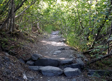 rocky path